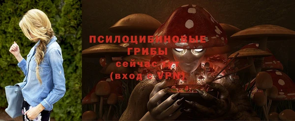 круглые Осташков