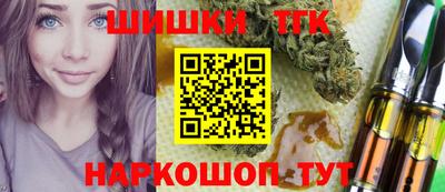 СК Дубна