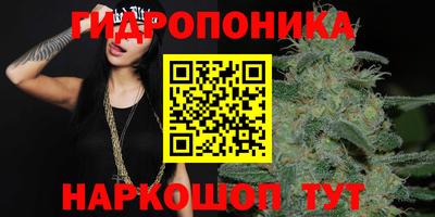 СК Дубна
