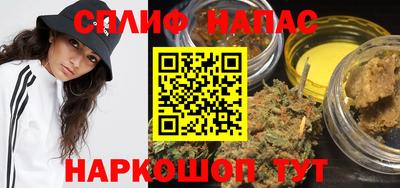 СК Дубна
