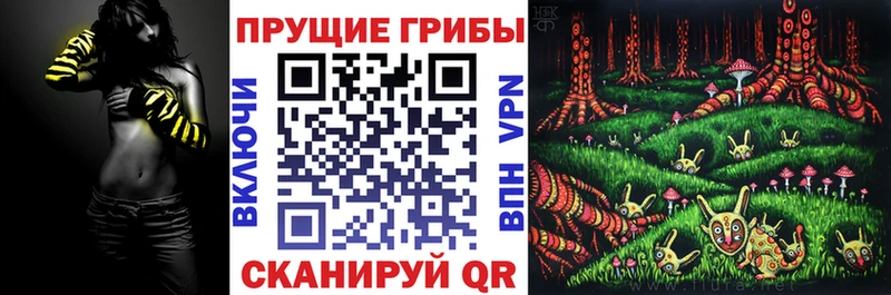 как найти   Ржев  Псилоцибиновые грибы Psilocybe 